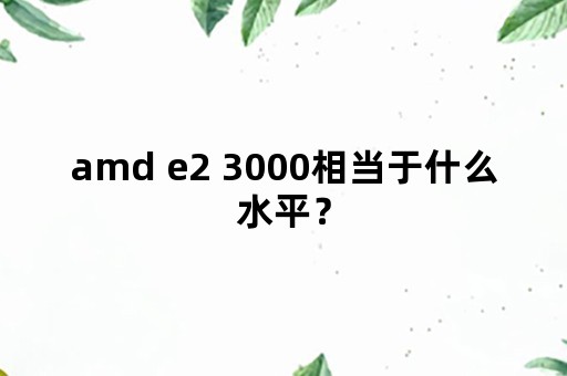 amd e2 3000相当于什么水平？