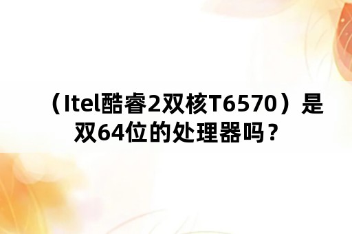 （Itel酷睿2双核T6570）是双64位的处理器吗？