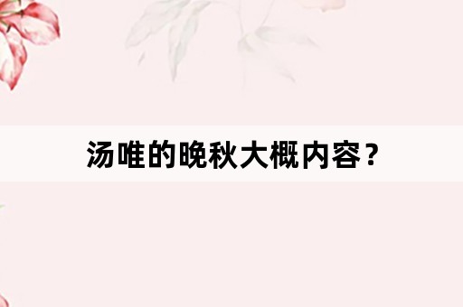 汤唯的晚秋大概内容？