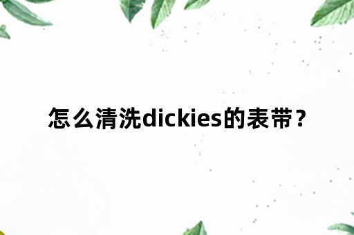 怎么清洗dickies的表带？