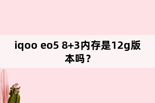 iqoo eo5 8+3内存是12g版本吗？