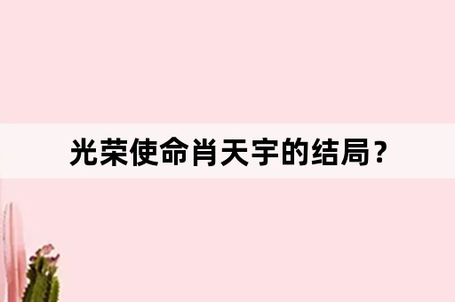 光荣使命肖天宇的结局？