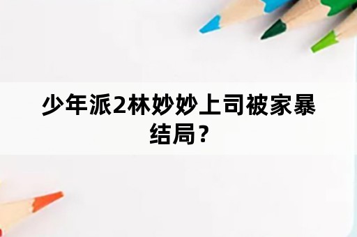 少年派2林妙妙上司被家暴结局？