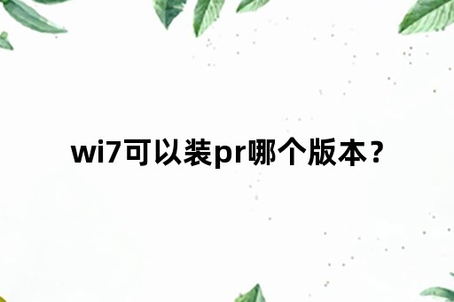 wi7可以装pr哪个版本？