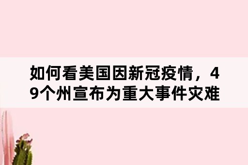 如何看美国因新冠疫情，49个州宣布为重大事件灾难区呢？