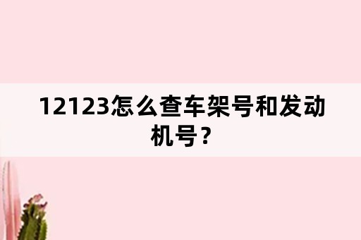 12123怎么查车架号和发动机号？