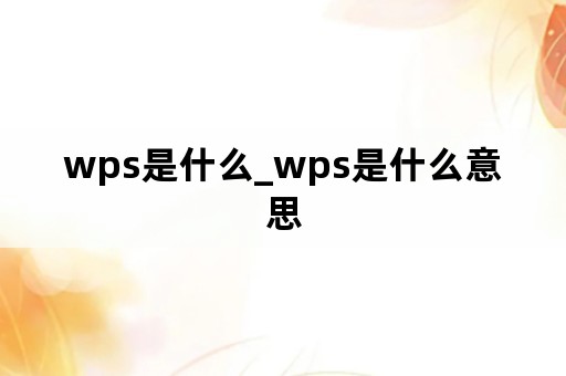 wps是什么_wps是什么意思