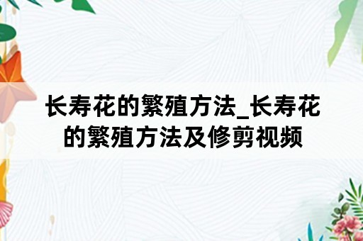 长寿花的繁殖方法_长寿花的繁殖方法及修剪视频