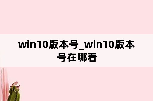 win10版本号_win10版本号在哪看