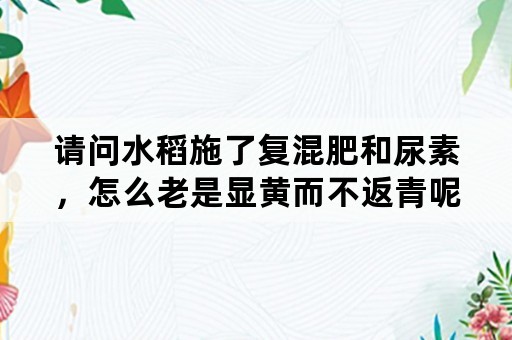 请问水稻施了复混肥和尿素，怎么老是显黄而不返青呢？怎么办？