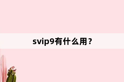 svip9有什么用？