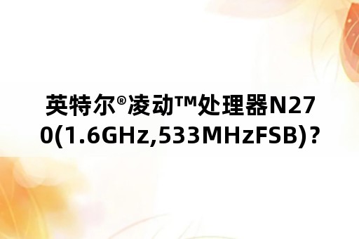 英特尔®凌动™处理器N270(1.6GHz,533MHzFSB)？