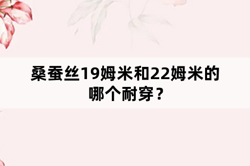 桑蚕丝19姆米和22姆米的哪个耐穿？